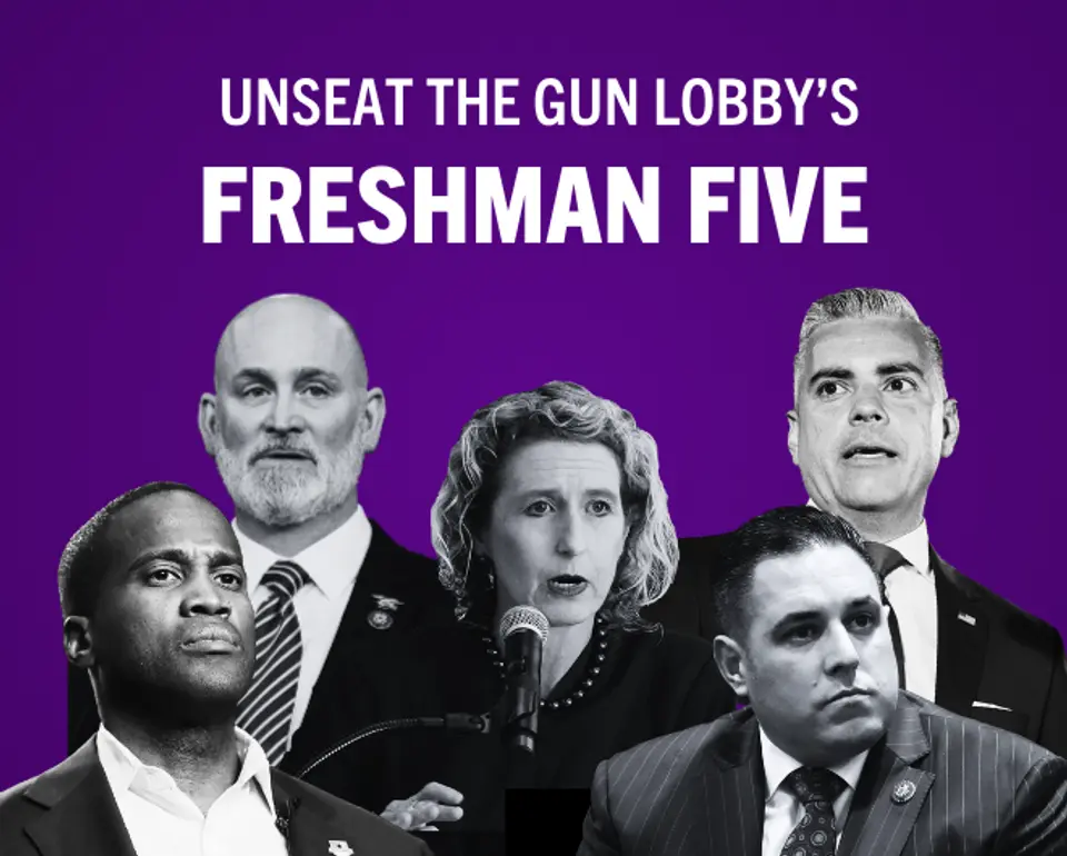 UNSEAT The Gun Lobbys